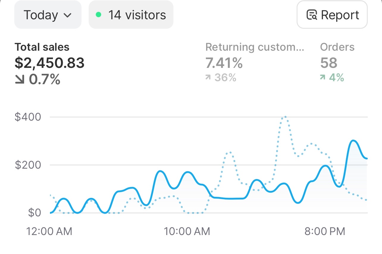 Daily dashboard showing $2,450.83 in total sales with 58 orders and 14 live visitors